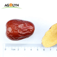 New Season Dried Natural Organic Jujube Red Dates For Sweet Taste